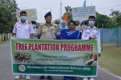 Tree Plantation